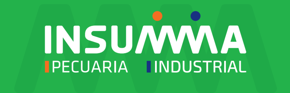 Logo Insumma BG